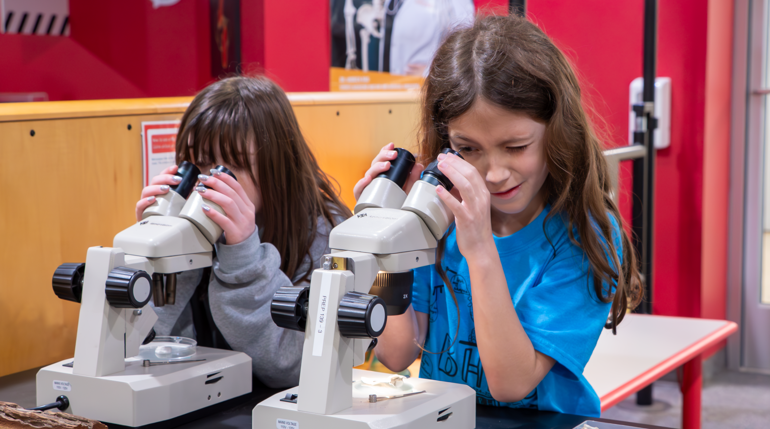 two children looking through microscopes